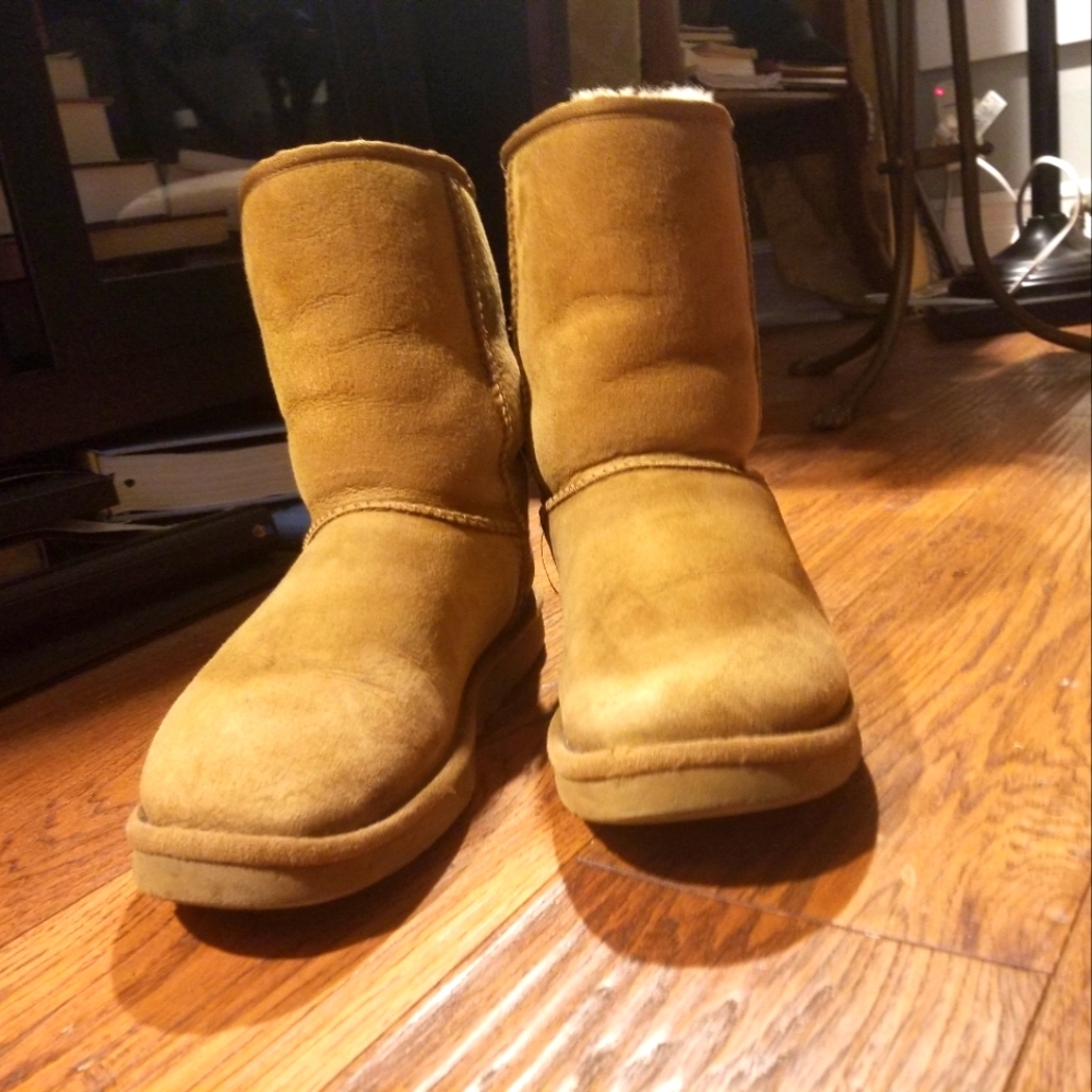 Uggs mens boots